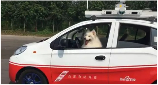 國內(nèi)外無人駕駛是什么水平？